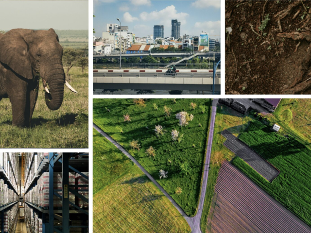A grid of photos shows an African elephant, a view of Hanoi, roots in soil, a food warehouse, and an aerial shot of a farm field